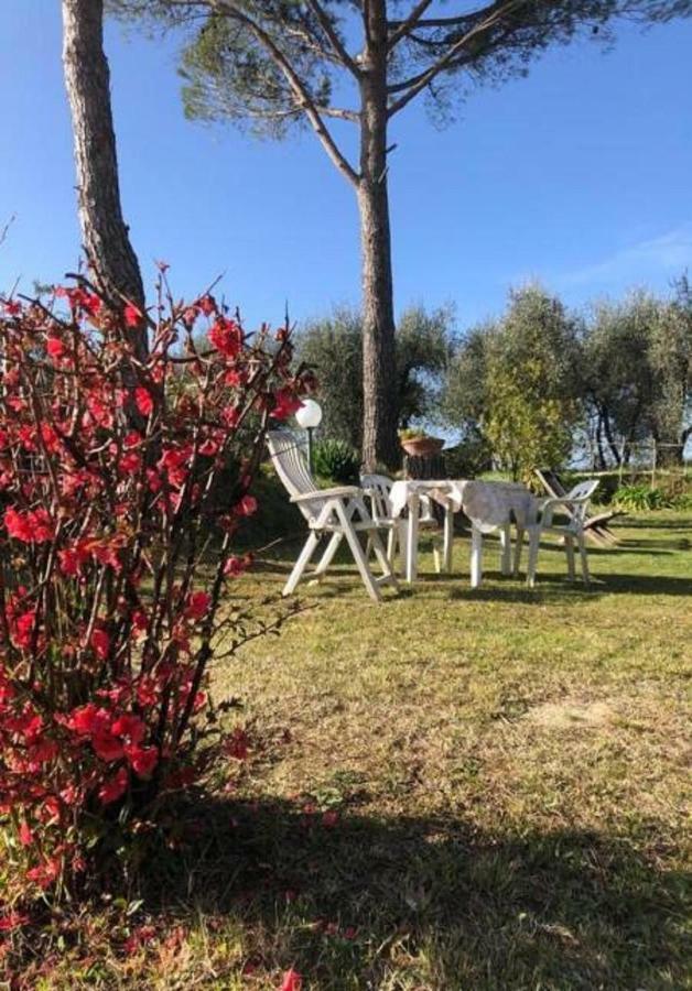 Appartamento La Chientina Soianella Esterno foto